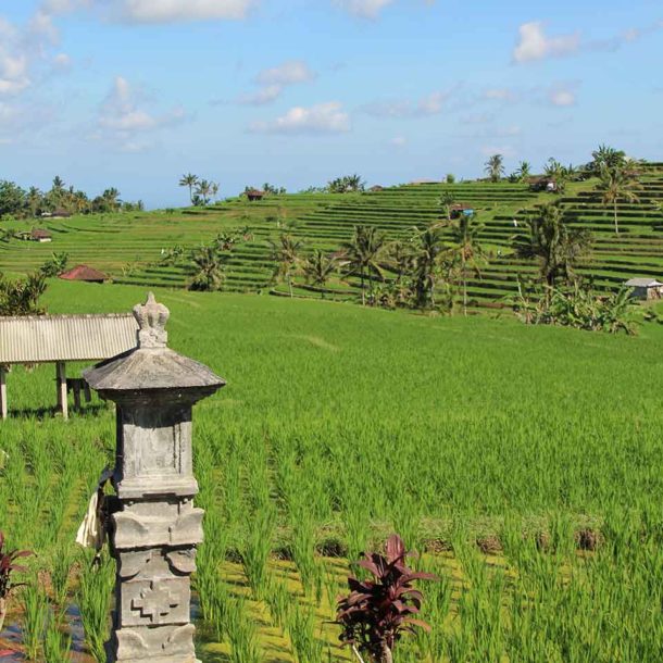 Bali