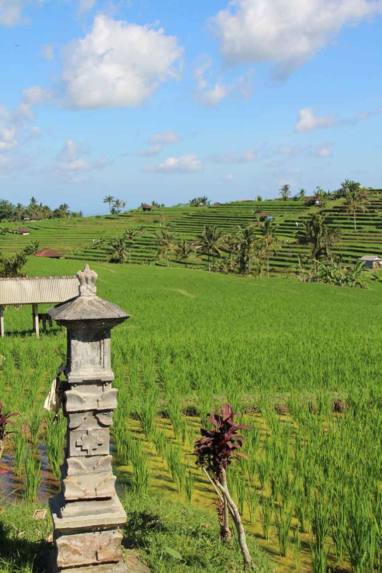 Bali
